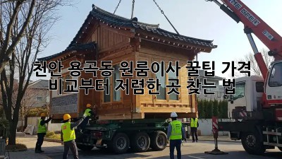 천안 용곡동 원룸이사 꿀팁🍯: 가격 비교부터 저렴한 곳 찾는 법!