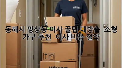 동해시 망상동 이사? 꿀팁 대방출! ✨ 소형 가구 추천 & 이사 비용 절약 💰